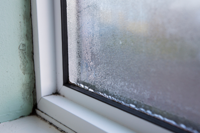 Schimmel bildet sich an einem Fenster