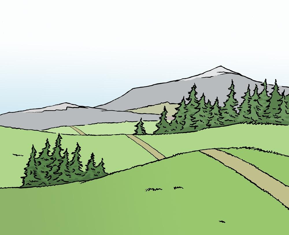 Berge und Wald 