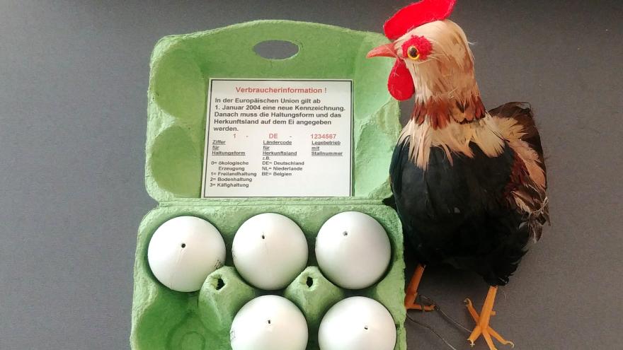 Huhn vor Eierkarton