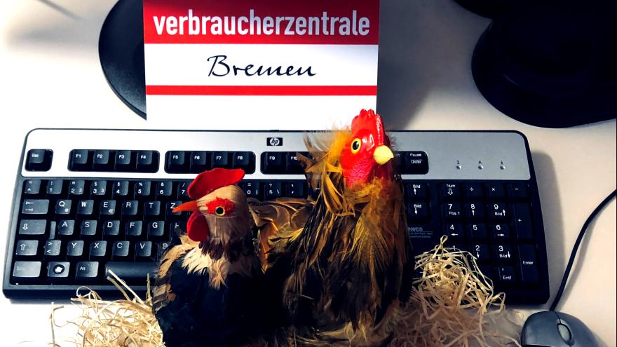 Hühner vor dem Computer sitzend Verbraucherzentrale Bremen