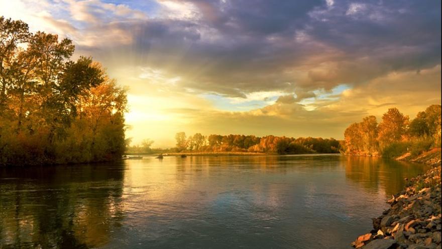 Herbst Fluss Bäume