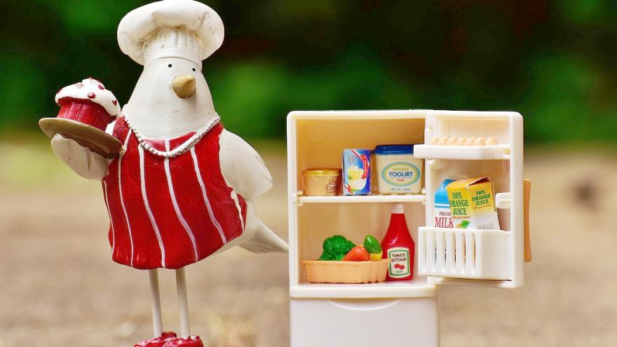 Vogel mit Kühlschrank