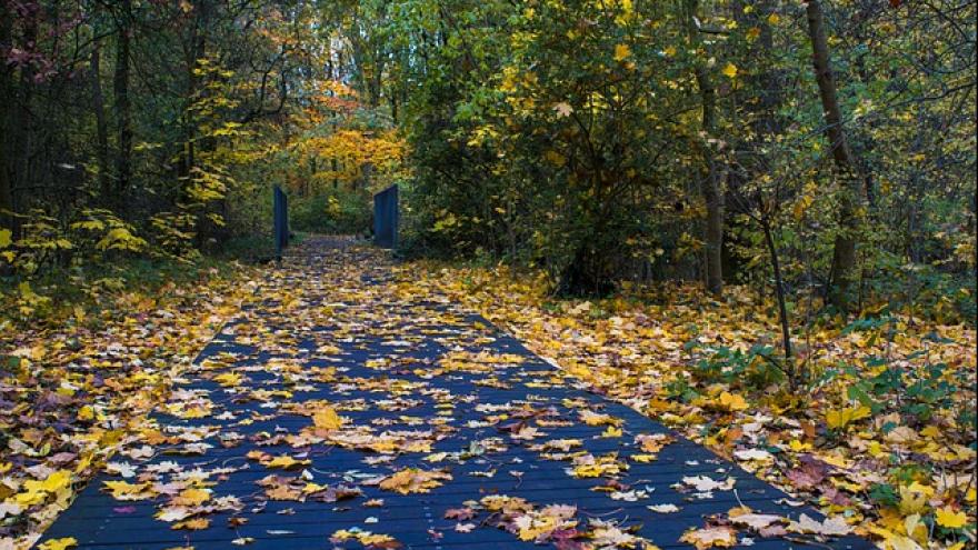 Lauf auf Straße_ Verbraucherzentrale Bremen