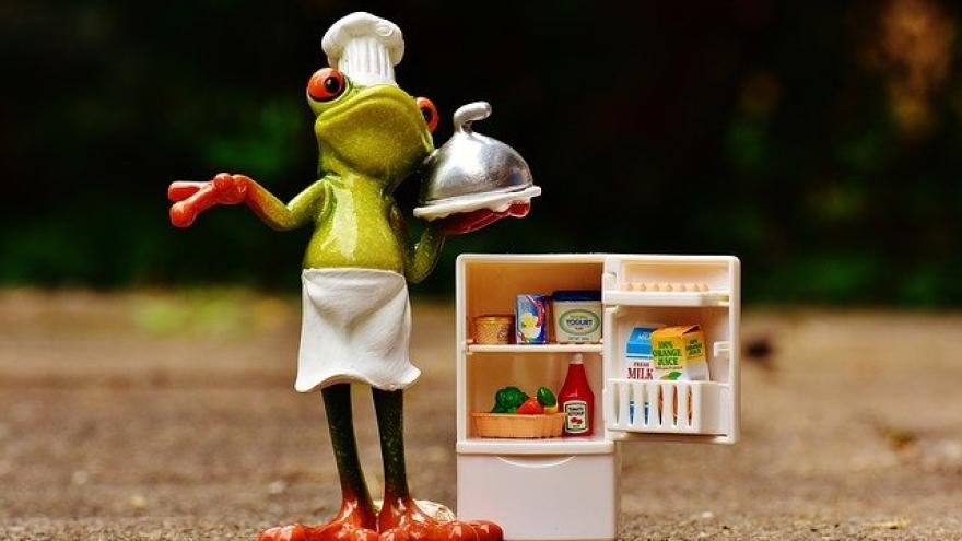 Froschfigur neben Kühlschrank