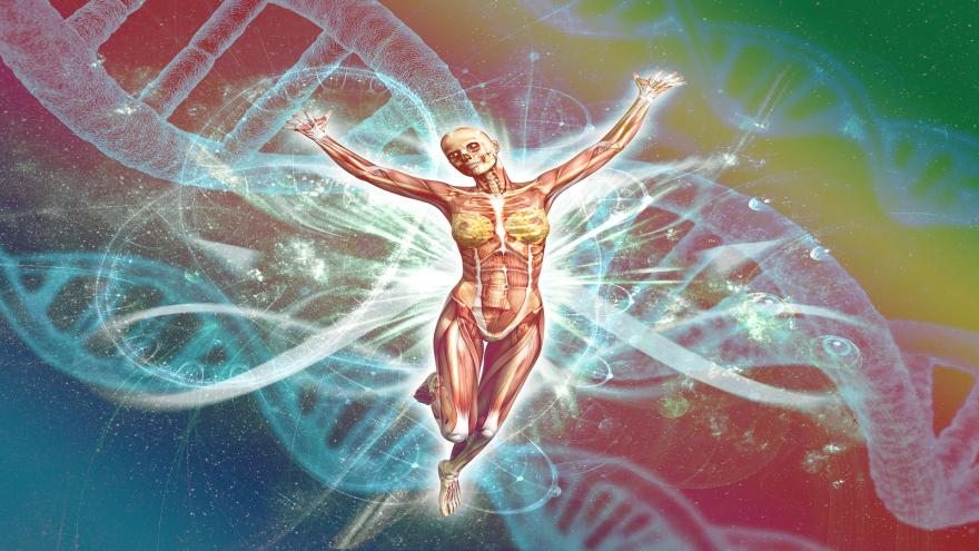Mit DNA Analyse zur Traumfigur, Verbraucherzentrale Bremen