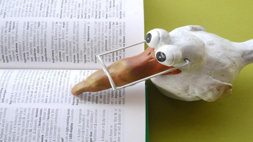 Ausbildung: welche Versicherung passt zu mir?