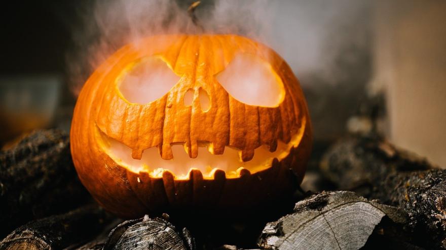 Kürbis geschnitzt Halloween Hokaido