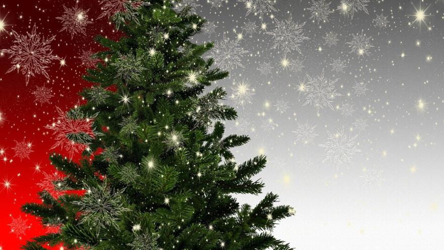 Geschmückter Tannenbaum Weihnachtsbaum Weihnachten