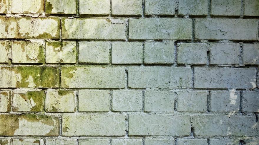 Schimmel ade: Hausdämmung mit Köpfchen Verbraucherzentrale Bremen