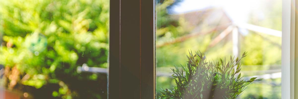 Hitzeschutz im Sommer Tipps