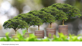 Leichte Erholung der Sparkonditionen auch bei nachhaltigen Banken Verbraucherzentrale Bremen